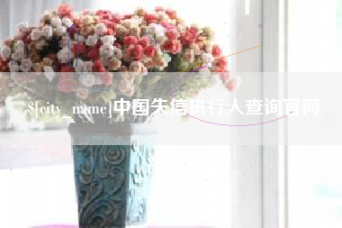 安徽中国失信执行人查询官网