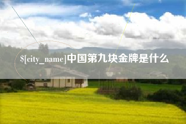 安徽中国第九块金牌是什么