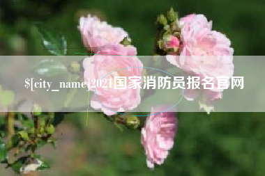 安徽2021国家消防员报名官网