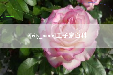 安徽王子豪百科