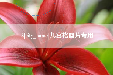 安徽九宫格图片专用
