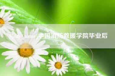 安徽中国消防救援学院毕业后