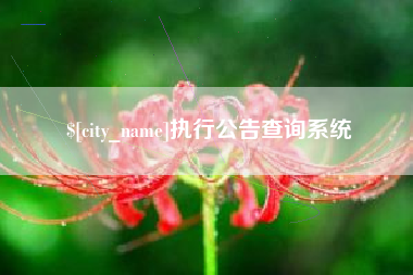 安徽执行公告查询系统