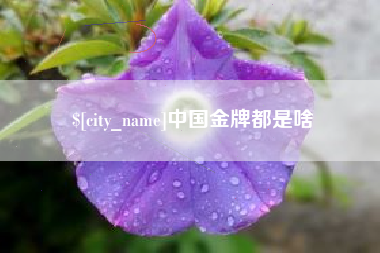 安徽中国金牌都是啥