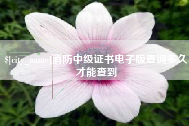 安徽消防中级证书电子版查询多久才能查到