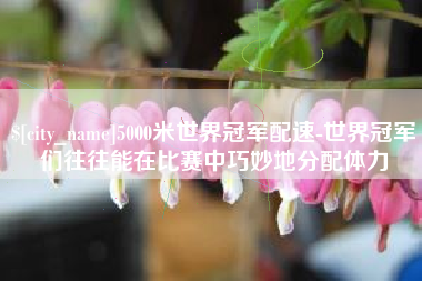安徽5000米世界冠军配速-世界冠军们往往能在比赛中巧妙地分配体力