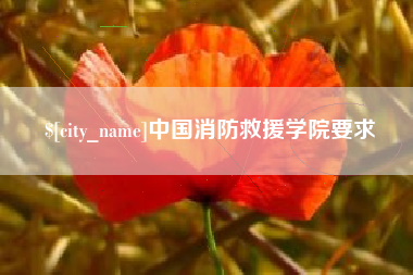 安徽中国消防救援学院要求