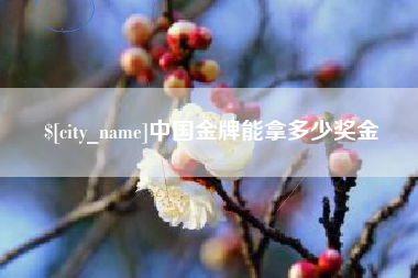 安徽中国金牌能拿多少奖金