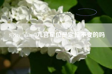 安徽九宫星位是定位不变的吗