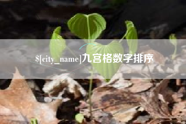 安徽九宫格数字排序