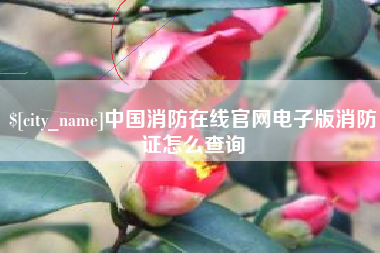 安徽中国消防在线官网电子版消防证怎么查询