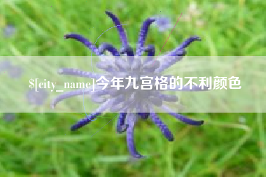 安徽今年九宫格的不利颜色