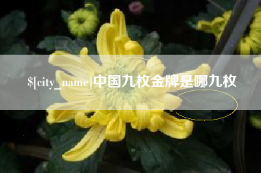 安徽中国九枚金牌是哪九枚