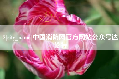 安徽中国消防网官方网站公众号达伦特