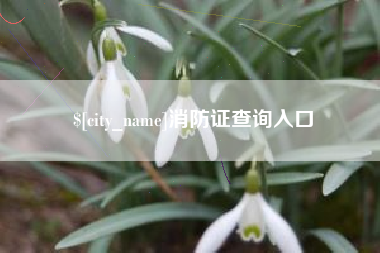 安徽消防证查询入口