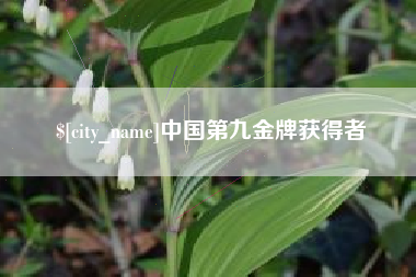 安徽中国第九金牌获得者