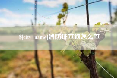安徽消防证查询怎么查