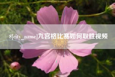 安徽九宫格比赛如何取胜视频