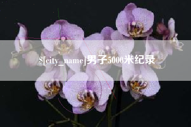 安徽男子5000米纪录