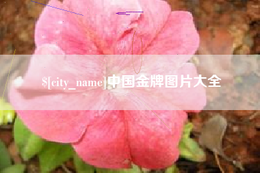 安徽中国金牌图片大全