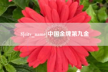 安徽中国金牌第九金