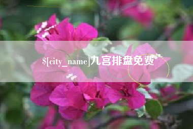 安徽九宫排盘免费