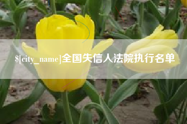 安徽全国失信人法院执行名单