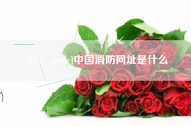 安徽中国消防网址是什么