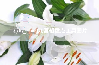 安徽九宫格盘点工具图片