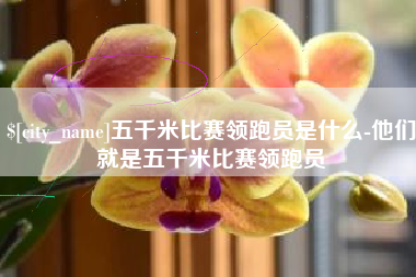 安徽五千米比赛领跑员是什么-他们就是五千米比赛领跑员