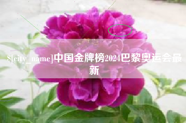 安徽中国金牌榜2024巴黎奥运会最新