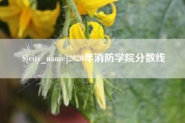 安徽2020年消防学院分数线