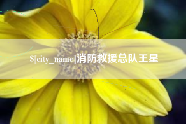 安徽消防救援总队王星