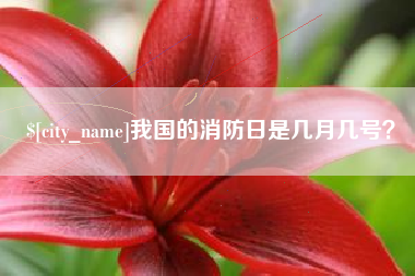 安徽我国的消防日是几月几号？