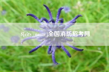 安徽全国消防招考网