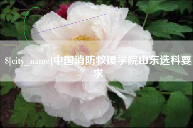 安徽中国消防救援学院山东选科要求