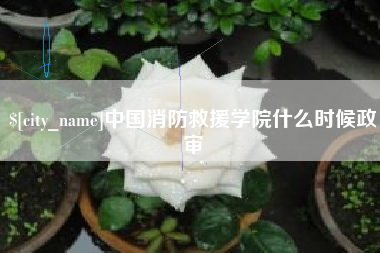 安徽中国消防救援学院什么时候政审
