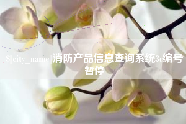 安徽消防产品信息查询系统3c编号暂停