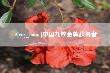 安徽中国九枚金牌获得者