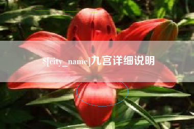 安徽九宫详细说明