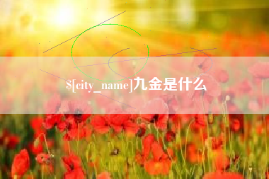 安徽九金是什么