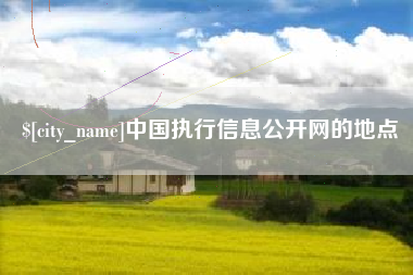 安徽中国执行信息公开网的地点