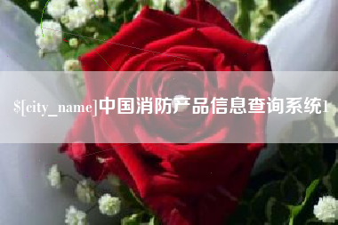 安徽中国消防产品信息查询系统1
