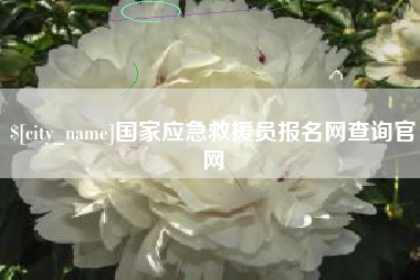 安徽国家应急救援员报名网查询官网