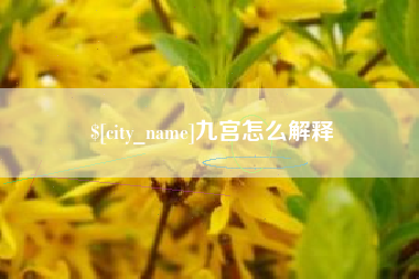 安徽九宫怎么解释