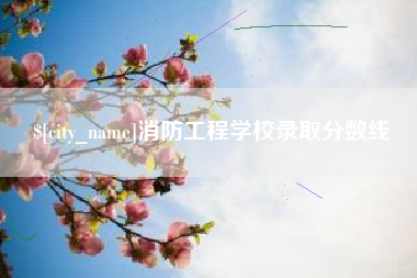安徽消防工程学校录取分数线