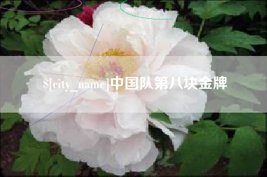 安徽中国队第八块金牌