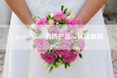 安徽消防产品ccc认证查询