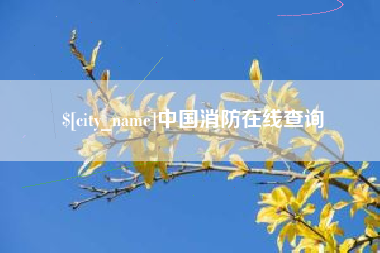 安徽中国消防在线查询