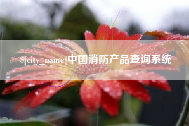 安徽中国消防产品查询系统